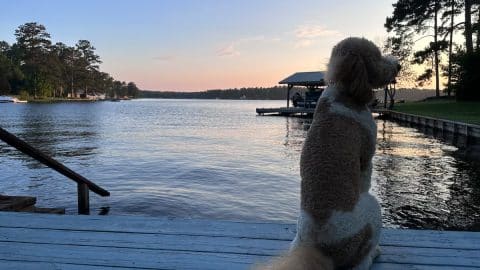 Cashel on the Lake Deck